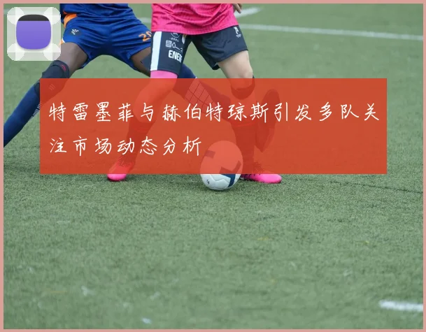 特雷墨菲与赫伯特琼斯引发多队关注市场动态分析